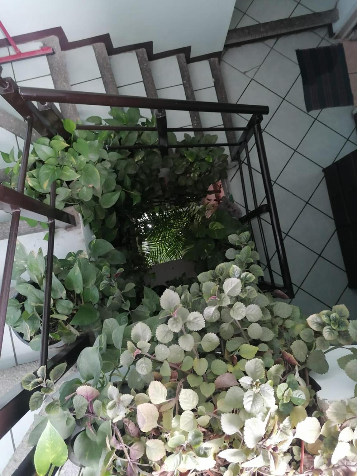 Casa Los Arcos Oaxaca Eksteriør billede