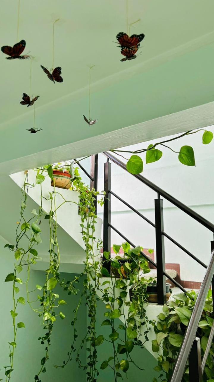 Casa Los Arcos Oaxaca Eksteriør billede